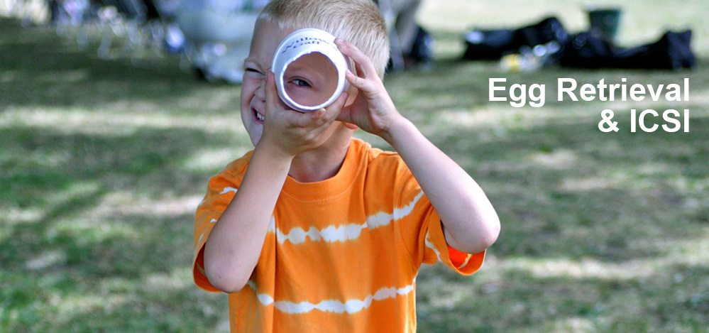 Egg Retrieval & ICSI Egg Retrieval & ICSI