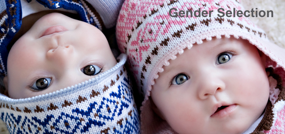 Gender Selection Gender Selection